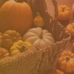 Embracing the Season with Tips for a Healthy Fall